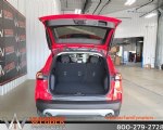 Image #6 of 2024 Ford Escape Active