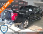 Image #4 of 2024 Ford F-150 XLT