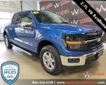 Image #2 of 2024 Ford F-150 XLT