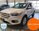 Image #4 of 2019 Ford Escape SEL